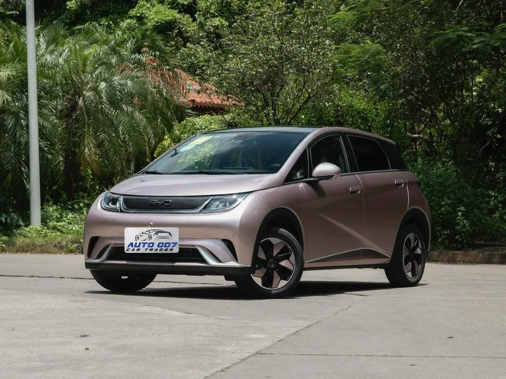 BYD 돌핀 전기 자동차