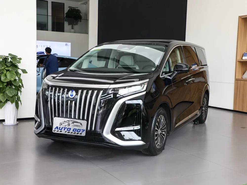 덴자 D9 전기 자동차